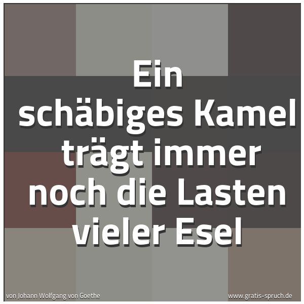 Spruchbild mit dem Text 'Ein schäbiges Kamel 
trägt immer noch die Lasten vieler Esel'