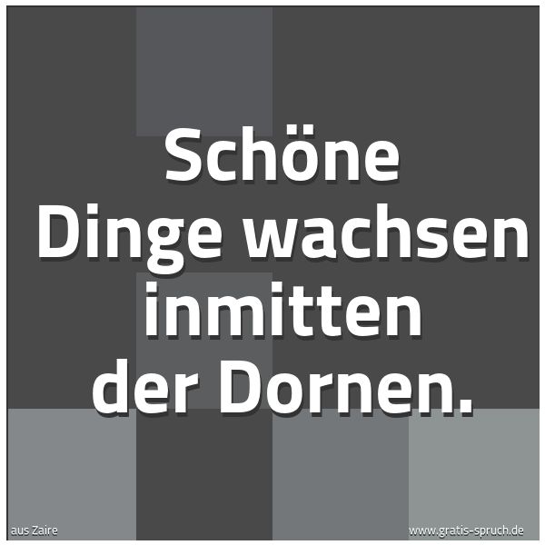 Spruchbild mit dem Text 'Schöne Dinge wachsen inmitten der Dornen.'