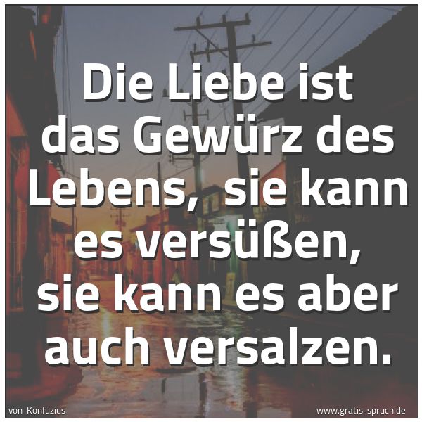 Spruchbild mit dem Text 'Die Liebe ist das Gewürz des Lebens, 
sie kann es versüßen, sie kann es aber auch versalzen.'