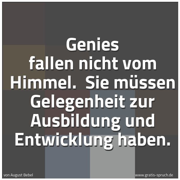 Spruchbild mit dem Text 'Genies fallen nicht vom Himmel. 
Sie müssen Gelegenheit zur Ausbildung und Entwicklung haben.'