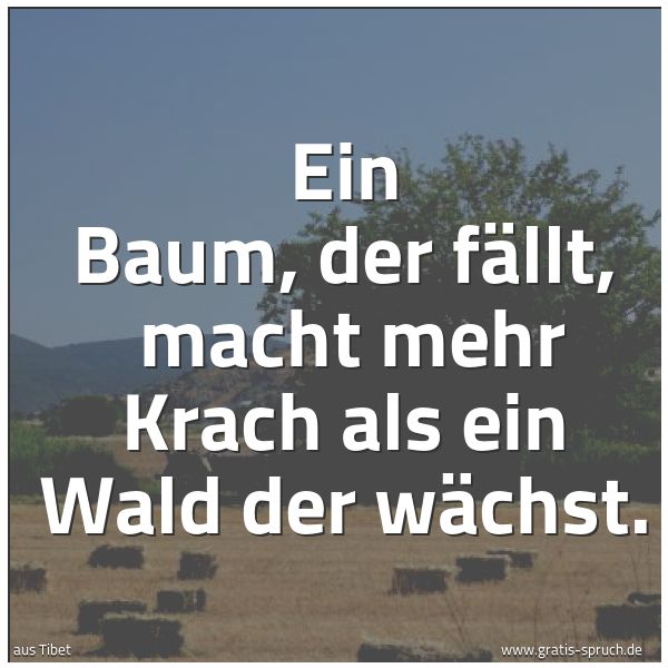 Spruchbild mit dem Text 'Ein Baum, der fällt, 
macht mehr Krach als ein Wald der wächst. '
