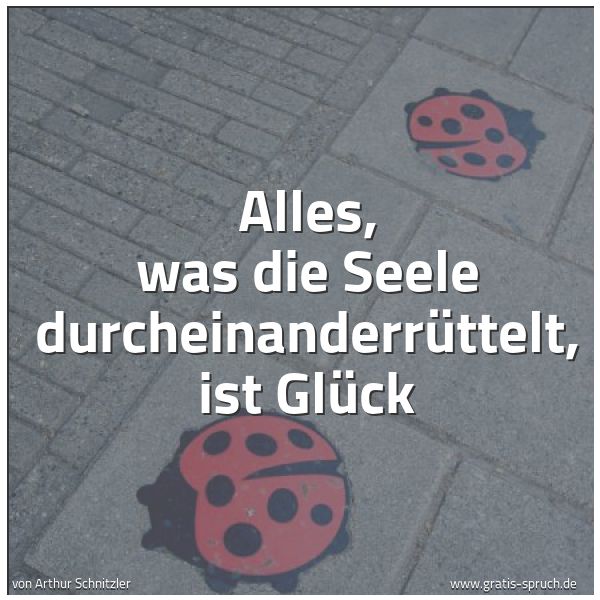Spruchbild mit dem Text 'Alles, was die Seele durcheinanderrüttelt, ist Glück'