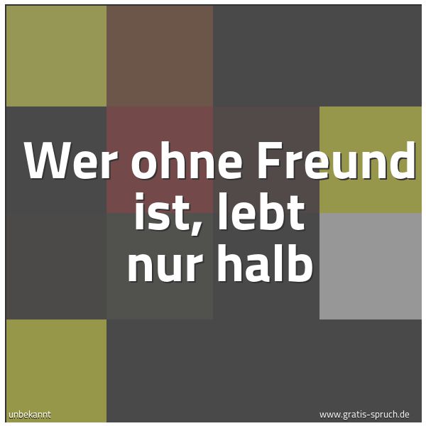 Spruchbild mit dem Text 'Wer ohne Freund ist, lebt nur halb'