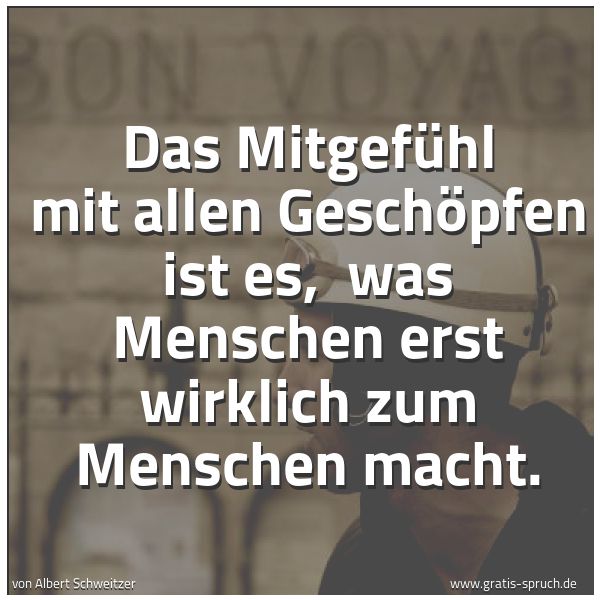 Spruchbild mit dem Text 'Das Mitgefühl mit allen Geschöpfen ist es, 
was Menschen erst wirklich zum Menschen macht.
'