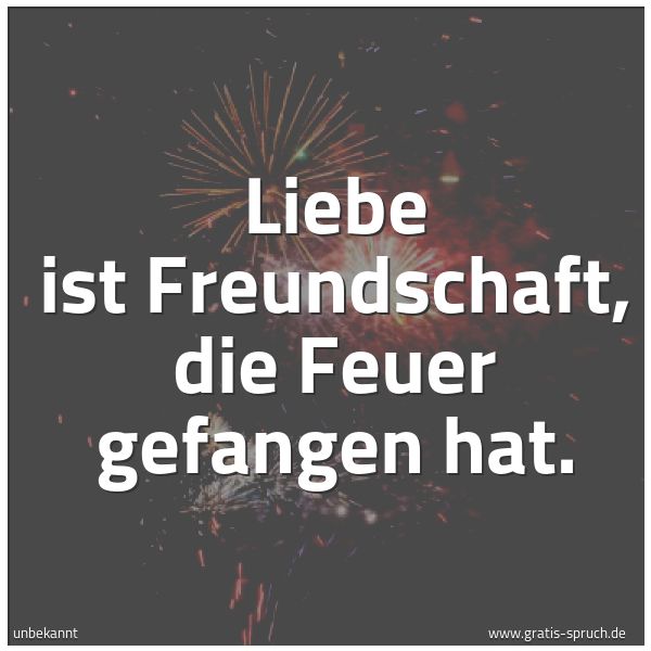 Spruchbild mit dem Text 'Liebe ist Freundschaft, die Feuer gefangen hat.'
