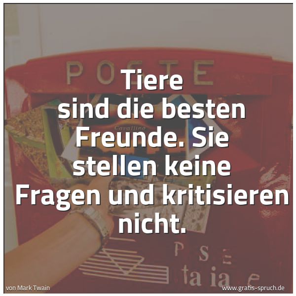 Spruchbild mit dem Text 'Tiere sind die besten Freunde.
Sie stellen keine Fragen und kritisieren nicht.'