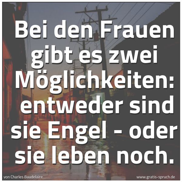 Spruchbild mit dem Text 'Bei den Frauen gibt es zwei Möglichkeiten: 
entweder sind sie Engel - oder sie leben noch.'