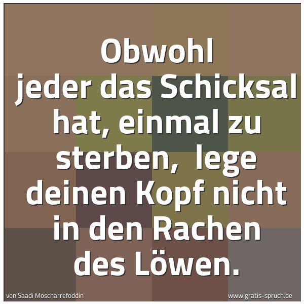 Spruchbild mit dem Text 'Obwohl jeder das Schicksal hat, einmal zu sterben, 
lege deinen Kopf nicht in den Rachen des Löwen.'