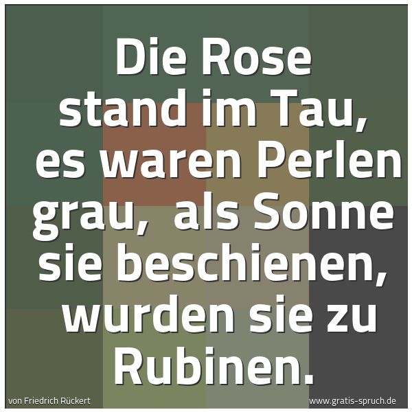 Spruchbild mit dem Text 'Die Rose stand im Tau, 
es waren Perlen grau, 
als Sonne sie beschienen, 
wurden sie zu Rubinen.'