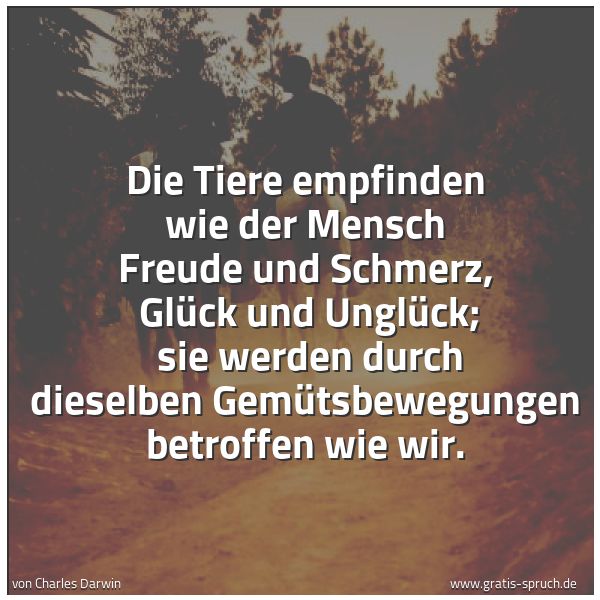 Spruchbild mit dem Text 'Die Tiere empfinden wie der Mensch Freude und Schmerz, 
Glück und Unglück; 
sie werden durch dieselben Gemütsbewegungen betroffen wie wir.'