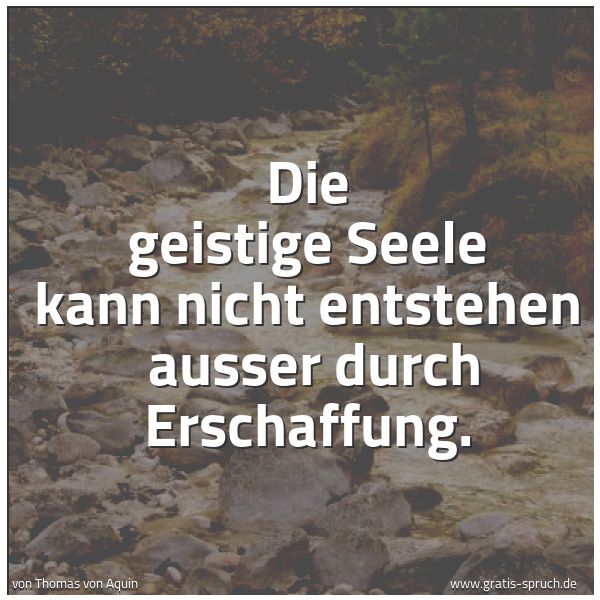 Spruchbild mit dem Text 'Die geistige Seele kann nicht entstehen 
ausser durch Erschaffung.'