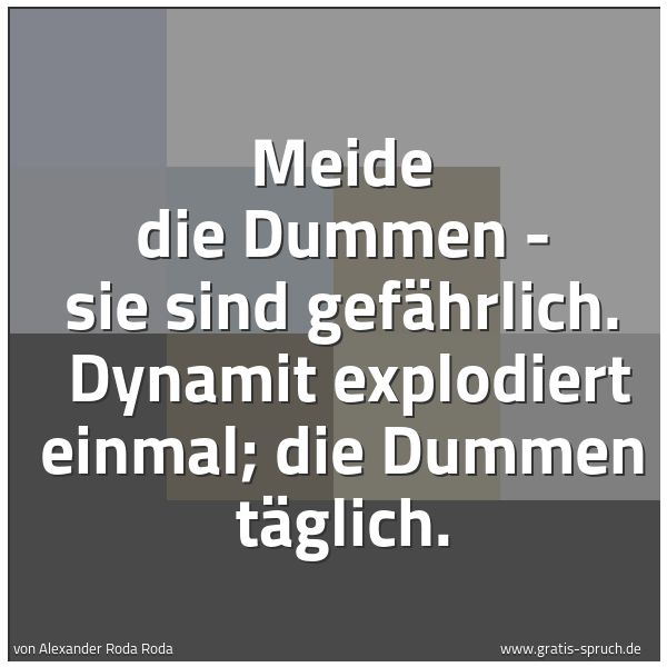 Spruchbild mit dem Text 'Meide die Dummen - sie sind gefährlich. 
Dynamit explodiert einmal; die Dummen täglich. '