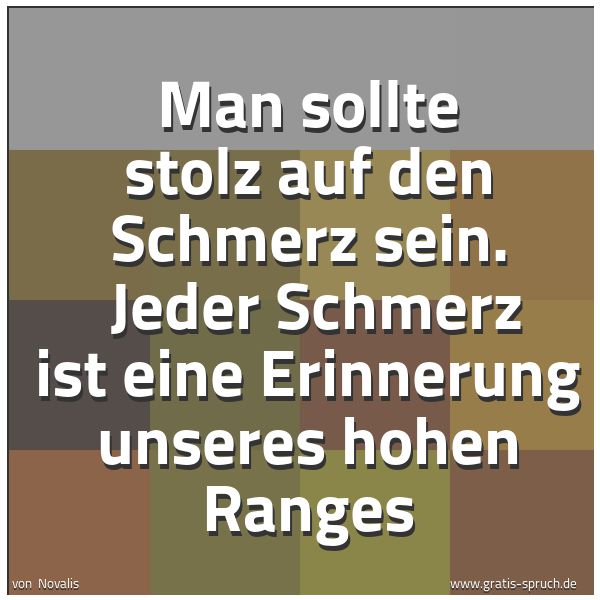 Spruchbild mit dem Text 'Man sollte stolz auf den Schmerz sein. 
Jeder Schmerz ist eine Erinnerung unseres hohen Ranges'