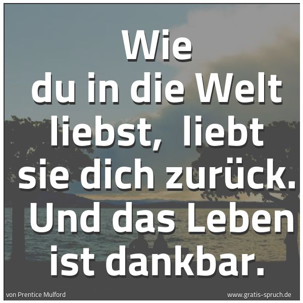Spruchbild mit dem Text 'Wie du in die Welt liebst, 
liebt sie dich zurück. 
Und das Leben ist dankbar.'