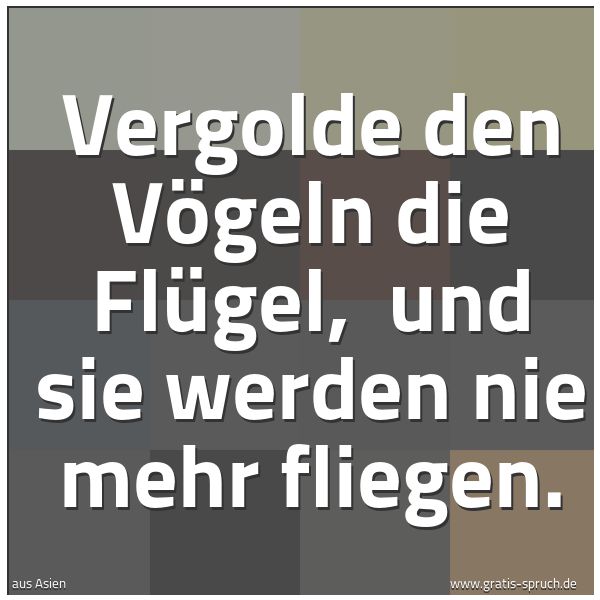 Spruchbild mit dem Text 'Vergolde den Vögeln die Flügel, 
und sie werden nie mehr fliegen.'