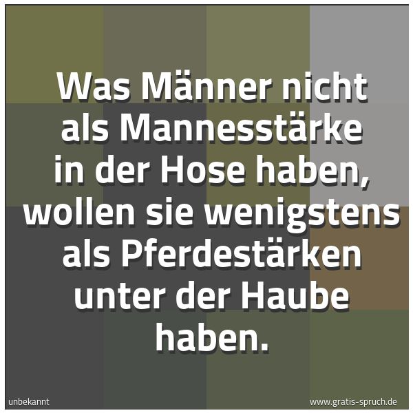 Spruchbild mit dem Text 'Was Männer nicht als Mannesstärke in der Hose haben, wollen sie wenigstens als Pferdestärken unter der Haube haben.'
