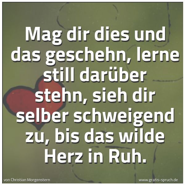 Spruchbild mit dem Text 'Mag dir dies und das geschehn,
lerne still darüber stehn,
sieh dir selber schweigend zu,
bis das wilde Herz in Ruh.'