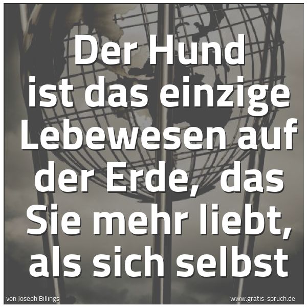 Spruchbild mit dem Text 'Der Hund ist das einzige Lebewesen auf der Erde, 
das Sie mehr liebt, als sich selbst'