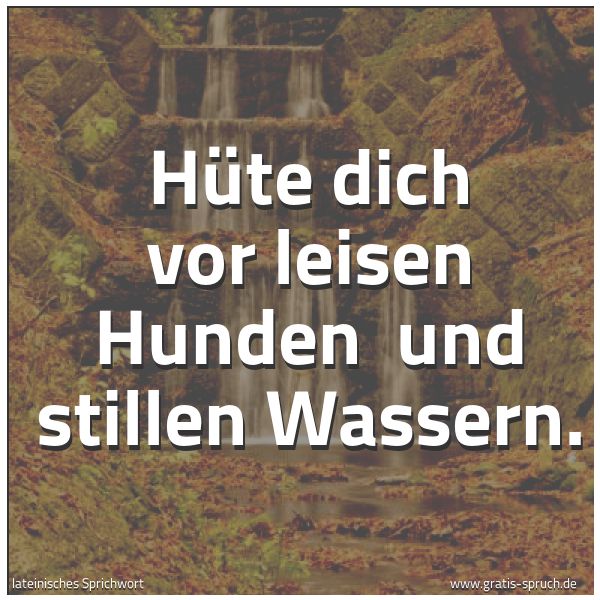 Spruchbild mit dem Text 'Hüte dich vor leisen Hunden 
und stillen Wassern.'