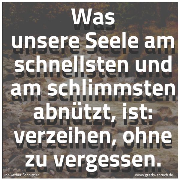 Spruchbild mit dem Text 'Was unsere Seele am schnellsten und am schlimmsten abnützt, ist: verzeihen, ohne zu vergessen.'