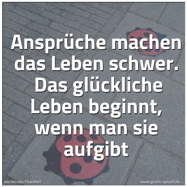 Spruchbild mit dem Text 'Ansprüche machen das Leben schwer. 
Das glückliche Leben beginnt, wenn man sie aufgibt '
