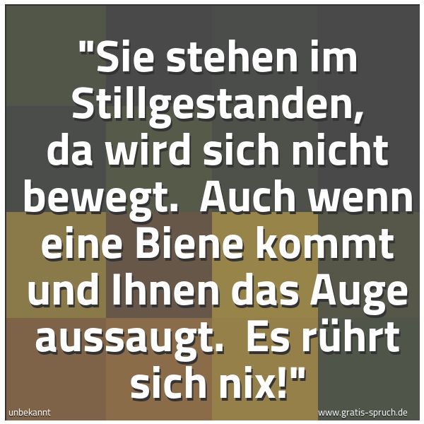 Spruchbild mit dem Text ''Sie stehen im Stillgestanden, da wird sich nicht bewegt. 
Auch wenn eine Biene kommt und Ihnen das Auge aussaugt. 
Es rührt sich nix!''