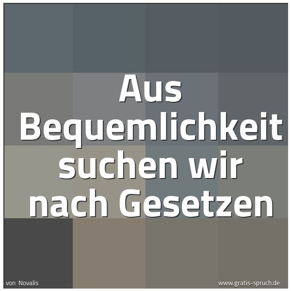 Spruchbild mit dem Text 'Aus Bequemlichkeit suchen wir nach Gesetzen'