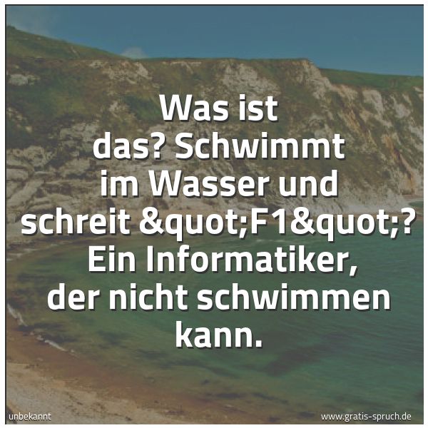 Spruchbild mit dem Text 'Was ist das? Schwimmt im Wasser und schreit 'F1'? 
Ein Informatiker, der nicht schwimmen kann. '