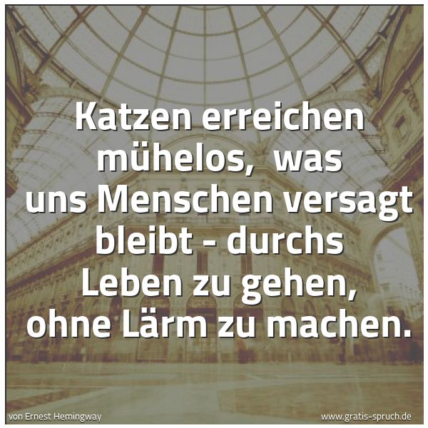 Spruchbild mit dem Text 'Katzen erreichen mühelos, 
was uns Menschen versagt bleibt -
durchs Leben zu gehen, ohne Lärm zu machen.'