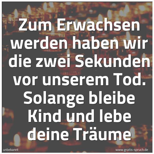 Spruchbild mit dem Text 'Zum Erwachsen werden haben wir die zwei Sekunden vor unserem Tod.
Solange bleibe Kind und lebe deine Träume'