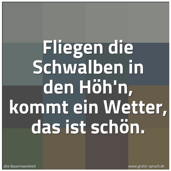 Spruchbild mit dem Text 'Fliegen die Schwalben in den Höh'n,
kommt ein Wetter, das ist schön.'
