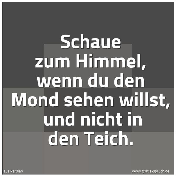 Spruchbild mit dem Text 'Schaue zum Himmel, wenn du den Mond sehen willst, 
und nicht in den Teich.'