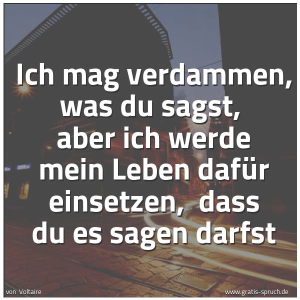 Spruchbild mit dem Text 'Ich mag verdammen, was du sagst, 
aber ich werde mein Leben dafür einsetzen, 
dass du es sagen darfst'