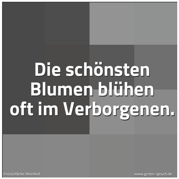 Spruchbild mit dem Text 'Die schönsten Blumen blühen oft im Verborgenen.'