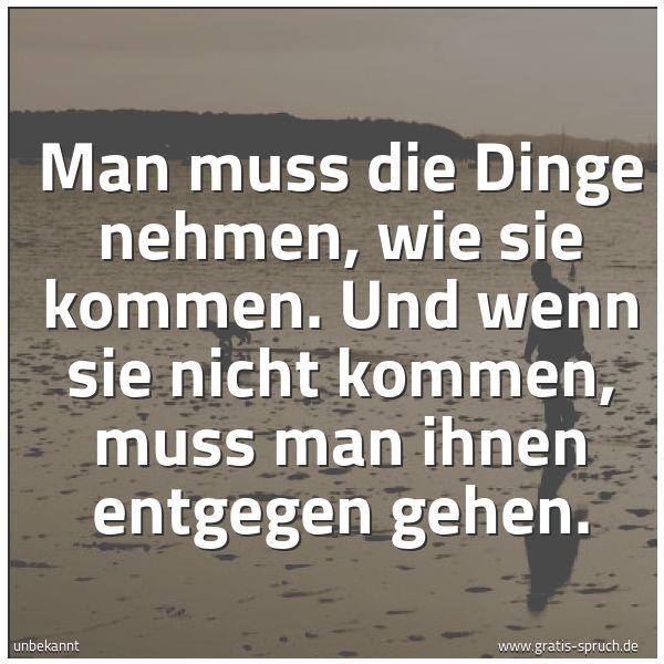 Spruchbild mit dem Text 'Man muss die Dinge nehmen, wie sie kommen.
Und wenn sie nicht kommen, muss man ihnen entgegen gehen. '