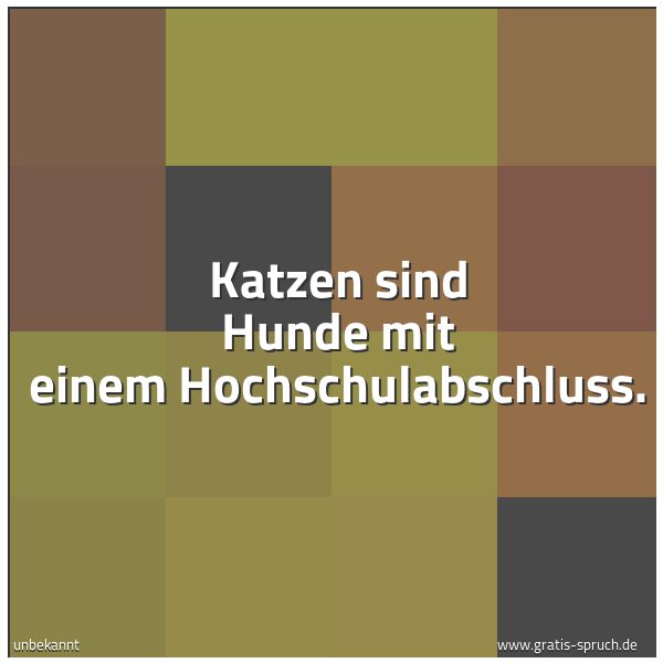 Spruchbild mit dem Text 'Katzen sind Hunde mit einem Hochschulabschluss.'