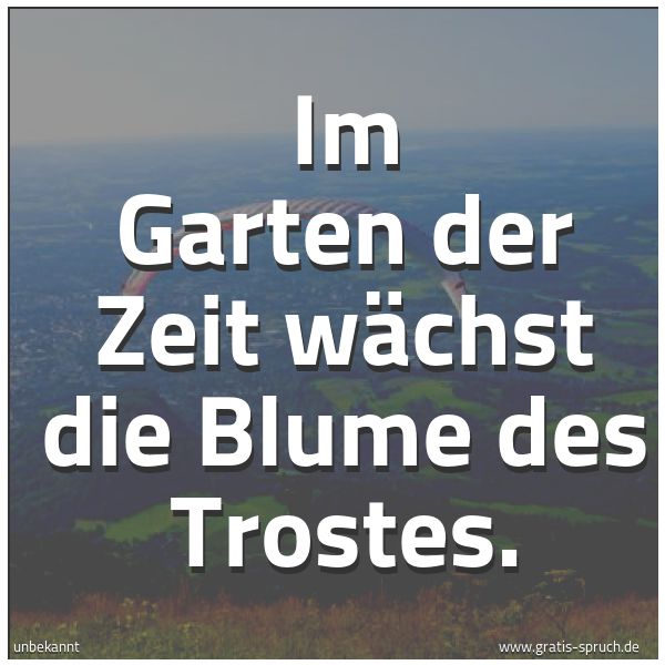 Spruchbild mit dem Text 'Im Garten der Zeit
wächst die Blume des Trostes.'