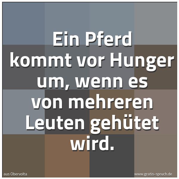 Spruchbild mit dem Text 'Ein Pferd kommt vor Hunger um,
wenn es von mehreren Leuten gehütet wird.'