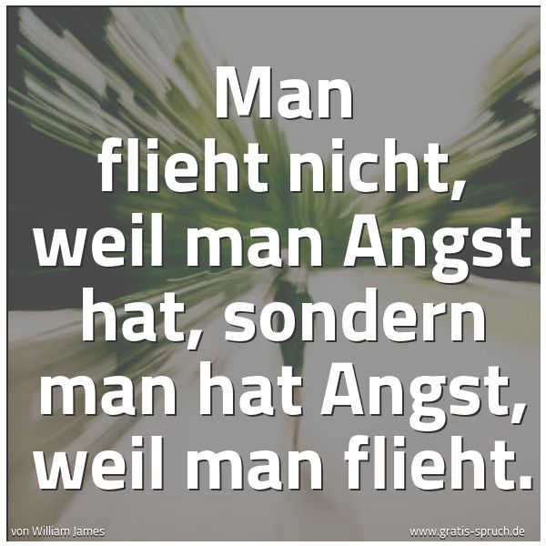 Spruchbild mit dem Text 'Man flieht nicht, weil man Angst hat,
sondern man hat Angst, weil man flieht.'