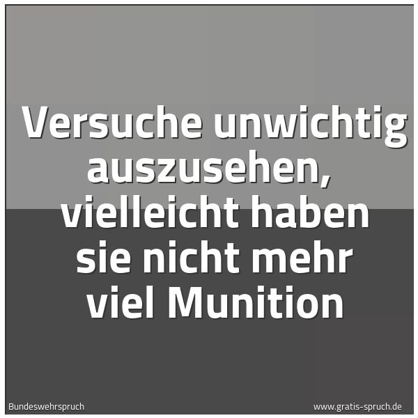 Spruchbild mit dem Text 'Versuche unwichtig auszusehen, 
vielleicht haben sie nicht mehr viel Munition'