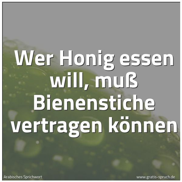 Spruchbild mit dem Text 'Wer Honig essen will, muß Bienenstiche vertragen können  '