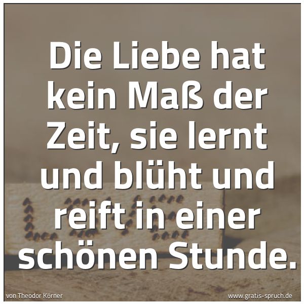 Spruchbild mit dem Text 'Die Liebe hat kein Maß der Zeit,
sie lernt und blüht und reift
in einer schönen Stunde.'