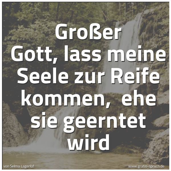 Spruchbild mit dem Text 'Großer Gott, lass meine Seele zur Reife kommen, 
ehe sie geerntet wird'
