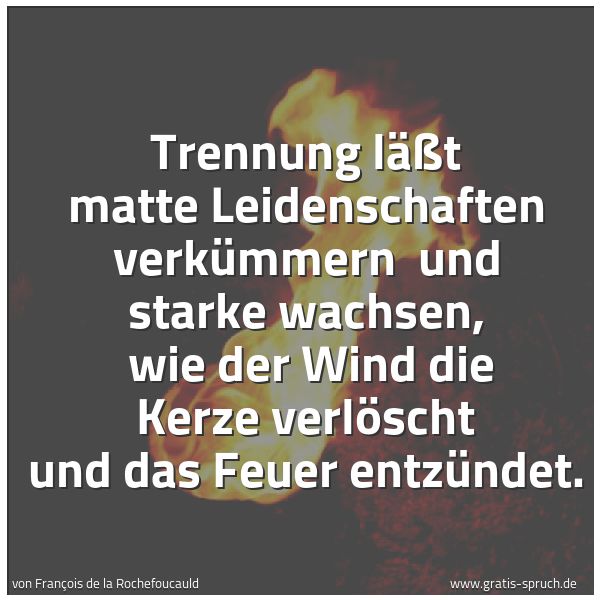Spruchbild mit dem Text 'Trennung läßt matte Leidenschaften verkümmern 
und starke wachsen, 
wie der Wind die Kerze verlöscht und das Feuer entzündet. '