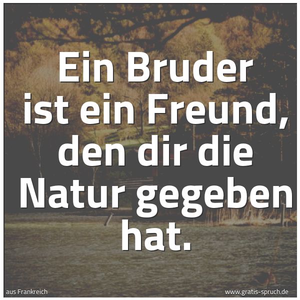 Spruchbild mit dem Text 'Ein Bruder ist ein Freund, den dir die Natur gegeben hat.'