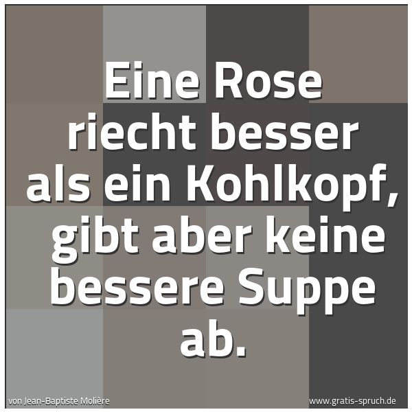 Spruchbild mit dem Text 'Eine Rose riecht besser als ein Kohlkopf, 
gibt aber keine bessere Suppe ab.'