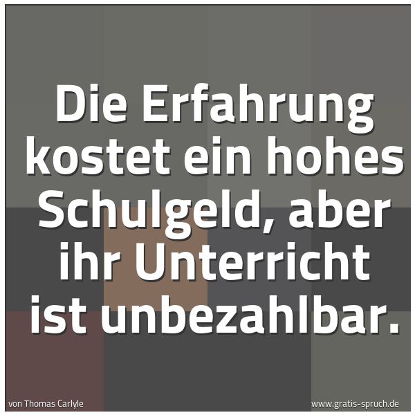 Spruchbild mit dem Text 'Die Erfahrung kostet ein hohes Schulgeld,
aber ihr Unterricht ist unbezahlbar.



 '