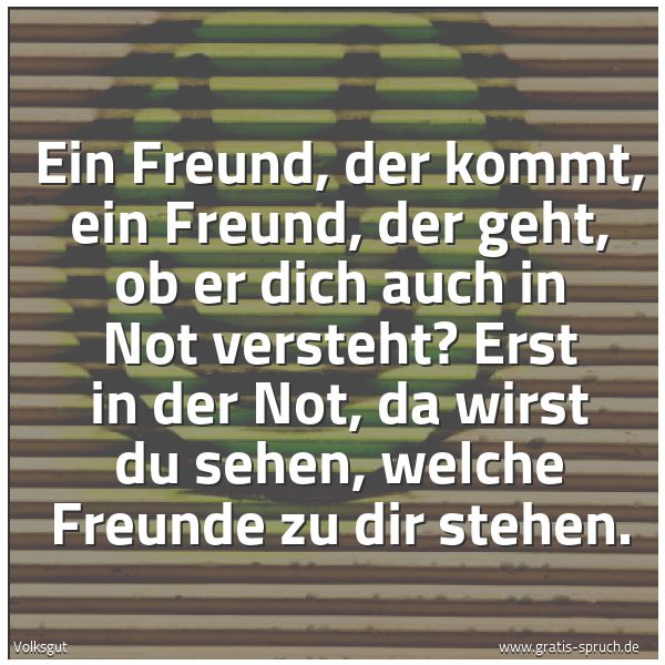 Spruchbild mit dem Text 'Ein Freund, der kommt, ein Freund, der geht,
ob er dich auch in Not versteht?
Erst in der Not, da wirst du sehen,
welche Freunde zu dir stehen.'