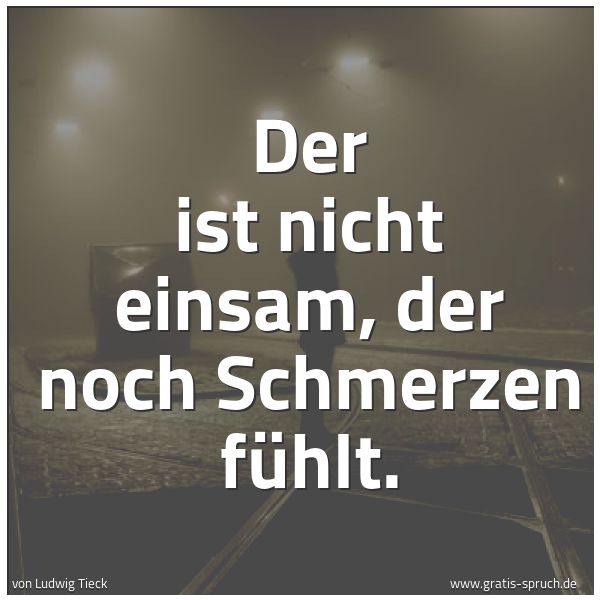 Spruchbild mit dem Text 'Der ist nicht einsam, der noch Schmerzen fühlt.'