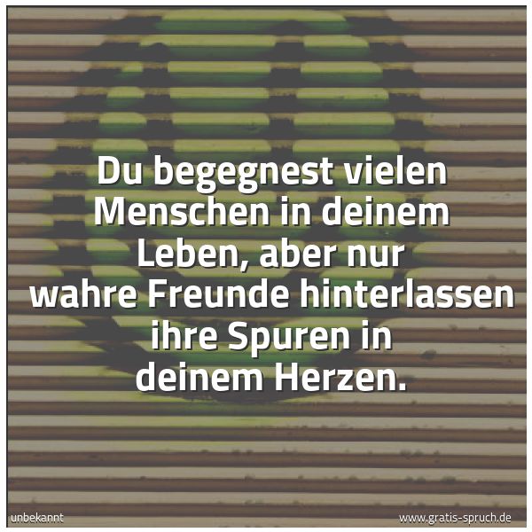 Spruchbild mit dem Text 'Du begegnest vielen Menschen in deinem Leben,
aber nur wahre Freunde hinterlassen ihre Spuren
in deinem Herzen.'